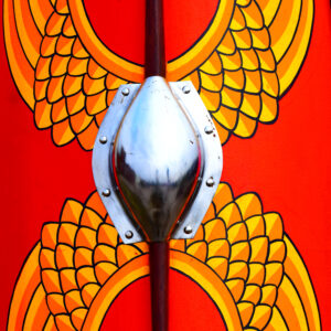 Fortress of Valor: The Medieval Shield