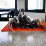 Medieval Ceremonial Horn