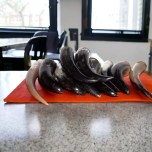 Medieval Ceremonial Horn