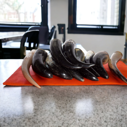 Medieval Ceremonial Horn