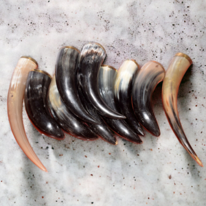 Medieval Ceremonial Horn