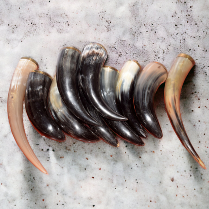 Medieval Ceremonial Horn