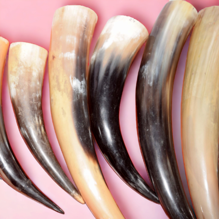 Viking Age Medieval Horn