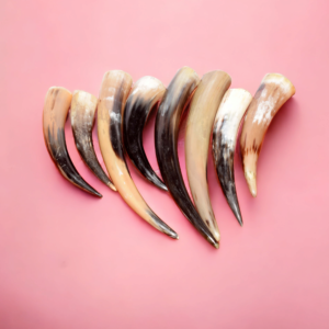 Viking Age Medieval Horn