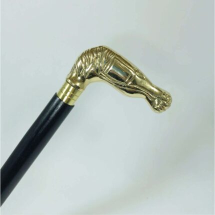 Elegant Walking Stick