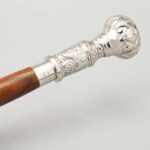 Fashionable canes